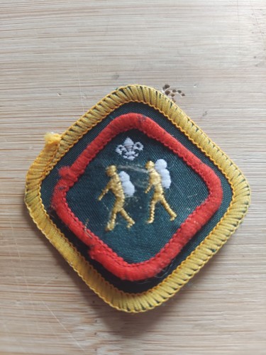 Scouting 1980 scout - uk,