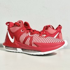 Nike LeBron Witness 7 TB