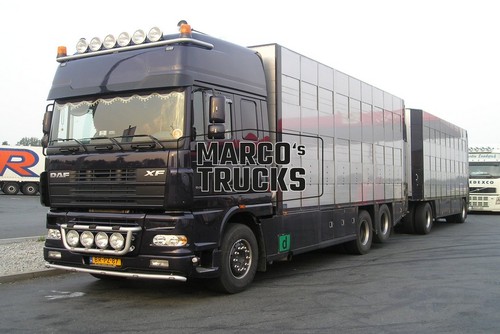 Truck photo daf livestock - daf, xf