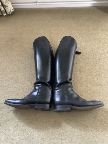 Konig grandgester dressage - grandgester,
