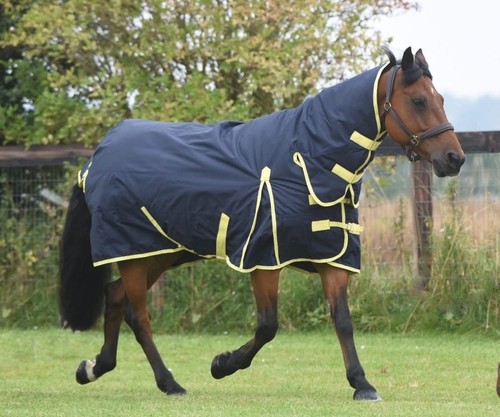 Turnout rug heavyweight - turnout, winter