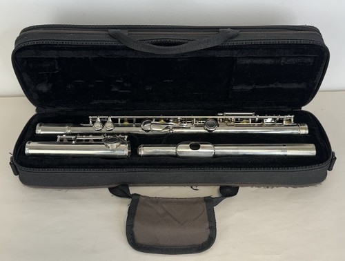 Eastar keys flute with - keys, c