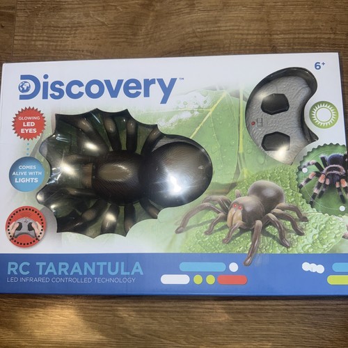 Discovery tarantula - tarantula, –