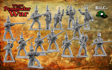 28mm Napoleonic Peninsular -