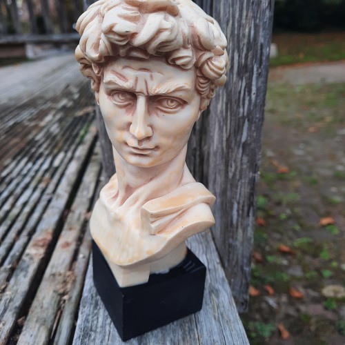 Michelangelo david bust - ,