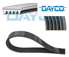 V-RIBBED BELT FITS: FORD FOCUS