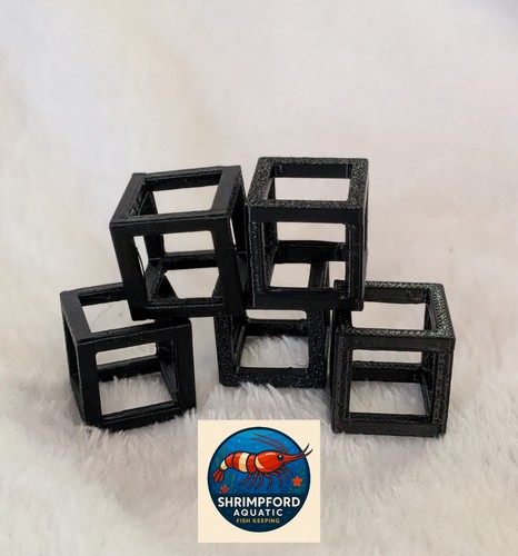 Shrimp tank cubes - cubes, aquarium