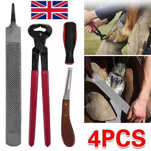 Farriers tools horse - farriers, hoof