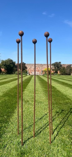 Heavy duty garden plant stakes - heavy,