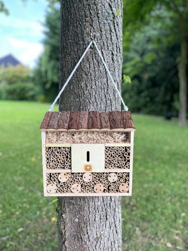 Wooden insect hotel - insect, home