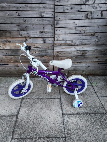 Pedal pals blossom girls - pals,