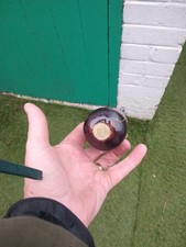 IRISH BLACKTHORN STICK  37