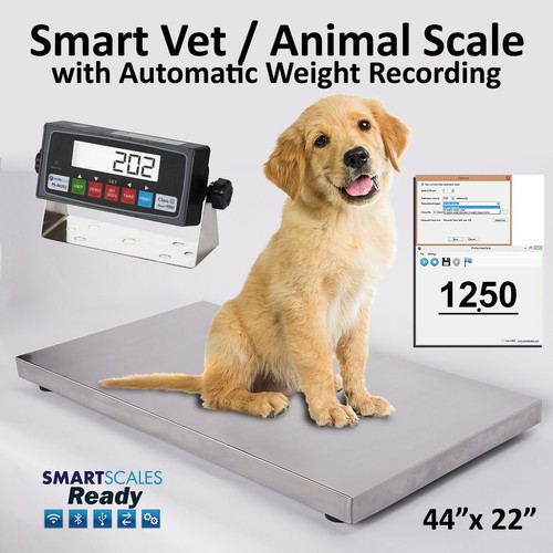New heavy duty 1100lbs digital - heavy,
