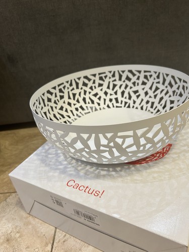 Cactus alessi fruit - fruit, bowl