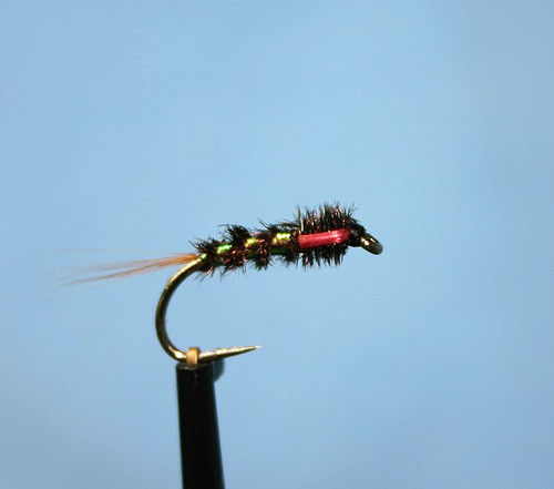 Dai bach nymphs fly - x,