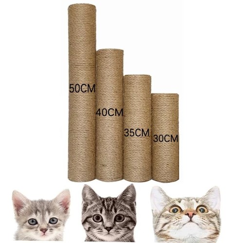 Cat scratching post - cat,