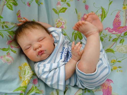 Reborn baby boy chubby sean - reborn,