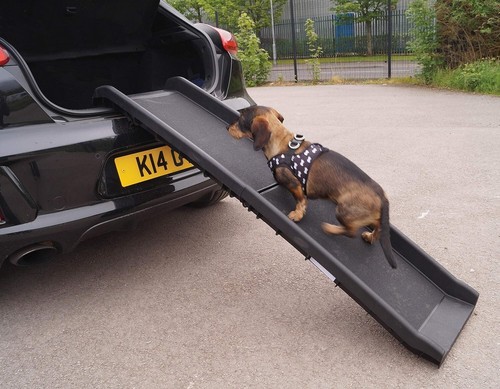 Car van pet aid - car,
