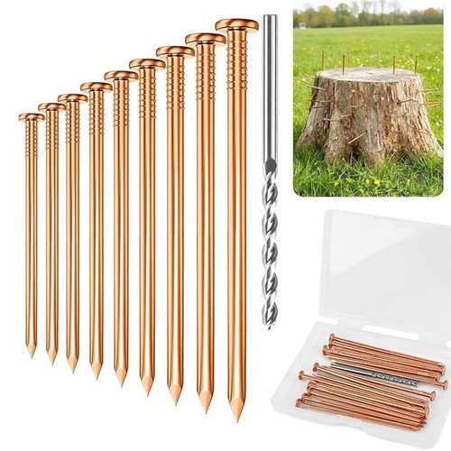 10pcs copper nails kill - 10pcs,