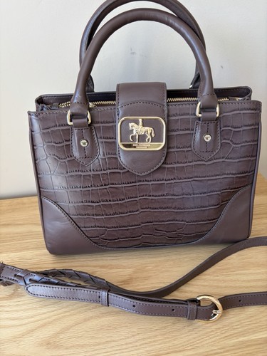 Paul costelloe dressage - costelloe,
