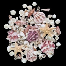 Mixed Small Shells Pink White