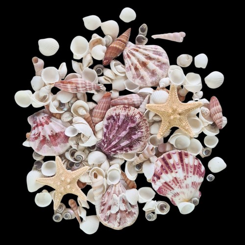 Mixed small shells pink - mixed,