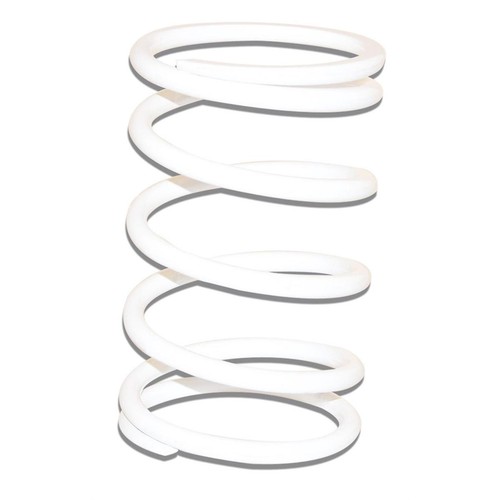 Valve spring non return - spring,