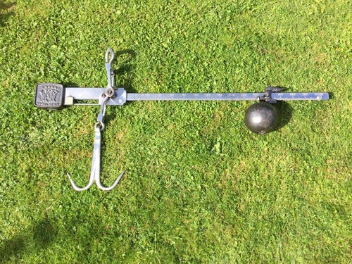 Steelyard 300lb weight scales - weight,