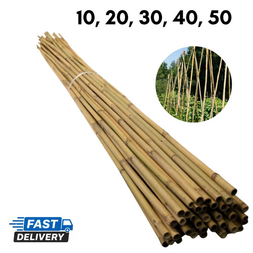Bamboo garden canes - bamboo,