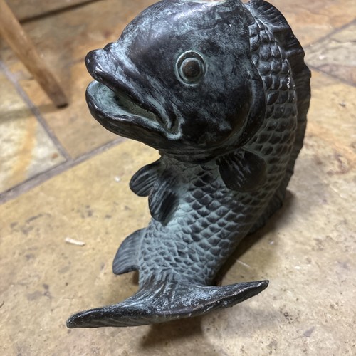 Bronze coloured koi carp fish - bronze,