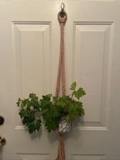 Macrame Plant Hanger With White Ceramic Planter And Plant