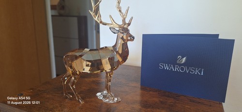 Swarovski scs annual - annual, edition