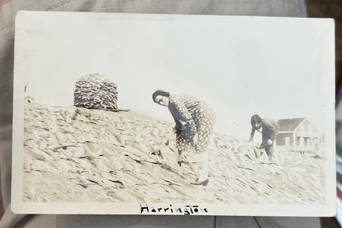 Antique rppc postcard - antique,
