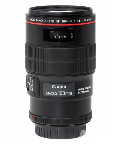 Canon 100mm 8l is - ef,
