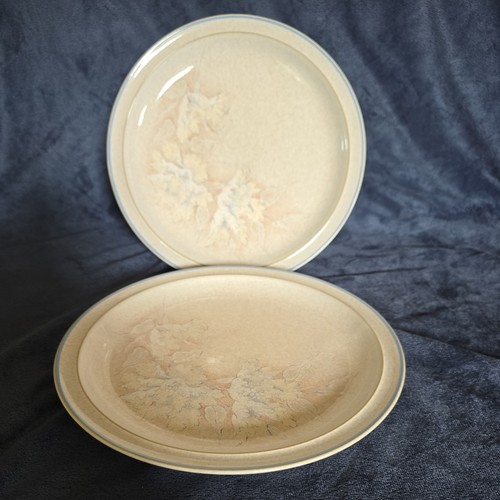 Denby tasmin dinner plates - tasmin,