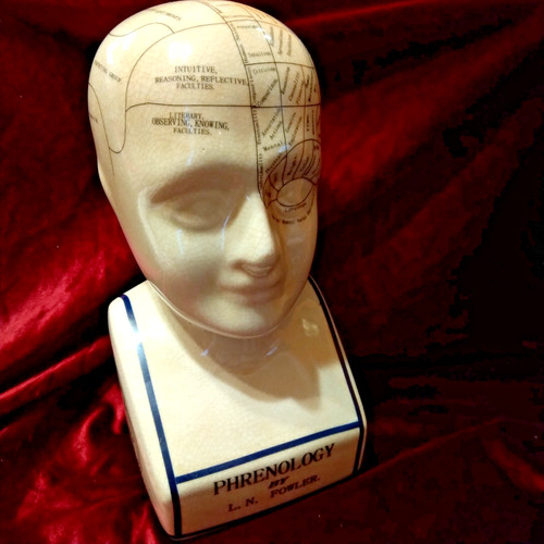 Phrenology head n - head, l.n