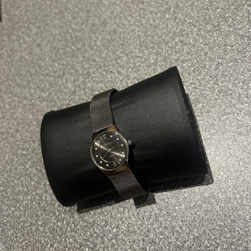 Skagen titanium ladies watch - skagen,