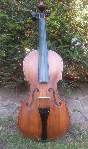 Old violin - violin,
