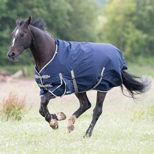 Gallop Trojan Duraproof 300g Horse Turnout Rug, Std Neck heavyweight Rug