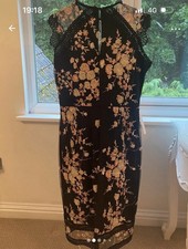 Special occasion Lipsy dress