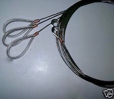 Mirror dinghy standing