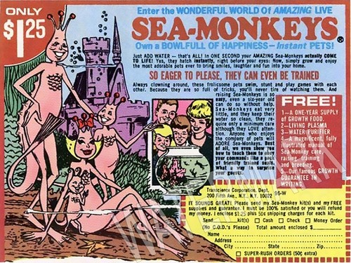Sea monkeys vintage - sea,