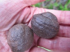 Moqui Marbles Crystal Thunderballs Giant chakras male female Shaman pair 78g