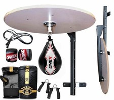 Adult Platform Speed Ball