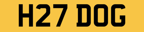 Hot dog number - hot, plate