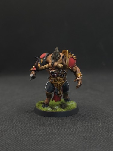 Blood bowl pro painted - bowl,