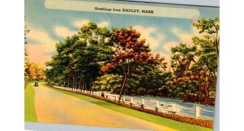 Hadley 1958 postcard - hadley, ma