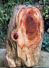 Waney Edge Live Edge Air Dried English Yew Board Plank Slab Timber Item 913