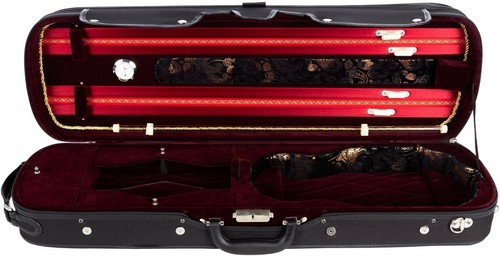 Oblong hard violin - violin, case