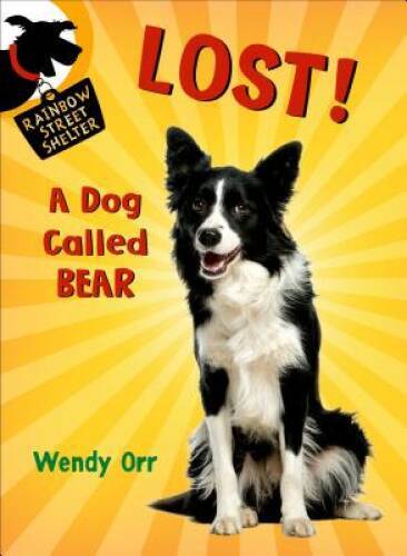 Lost dog called bear - a,